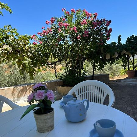 Casa Rural Del Saz Yeste Luaran gambar