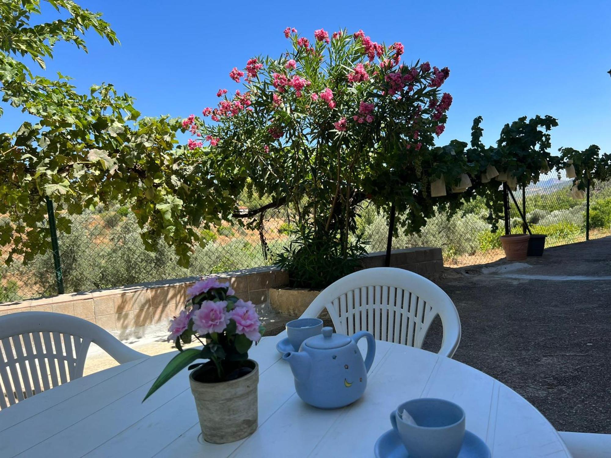 Casa Rural Del Saz Yeste Luaran gambar